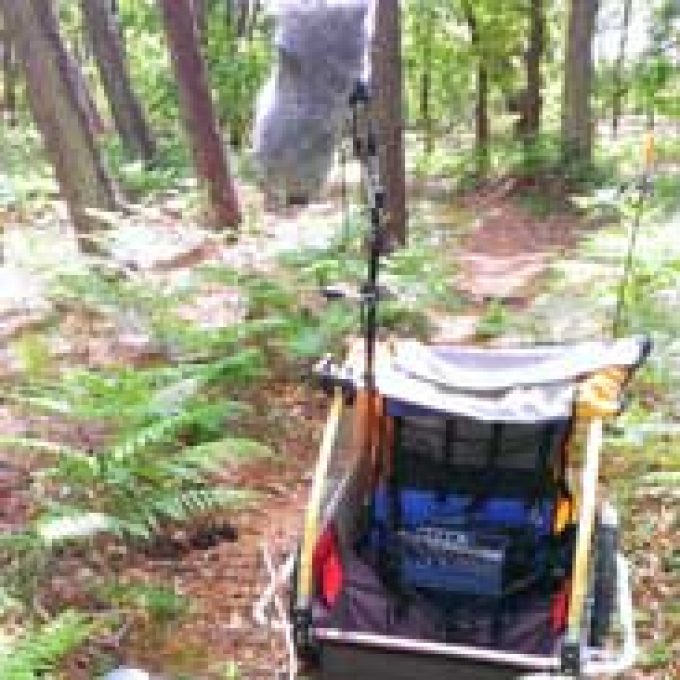 Promenons nous dans les bois/Let’s stroll in the woods